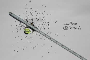 Bird shot from 7 yards. 