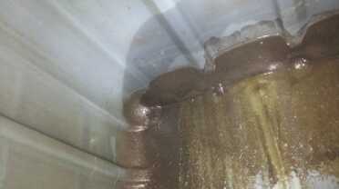 The one black tank I have showed much less algae than the white ones. As you can see, this one is white inside too. I took this by sticking my phone inside the tank and using the flash. 