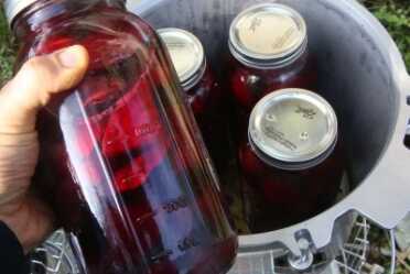 I have to admit that I was lax in monitoring the process after the canner got up to steam temp. But hey, it worked. When I got home from the movies at midnight the stove was out of fuel and the canner was cooling. In the morning, the jars were perfect. 