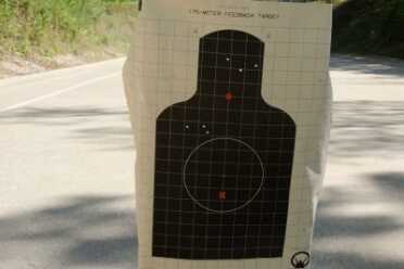 The top group fired from the Chiappa rifle bottom group fired from a handgun.