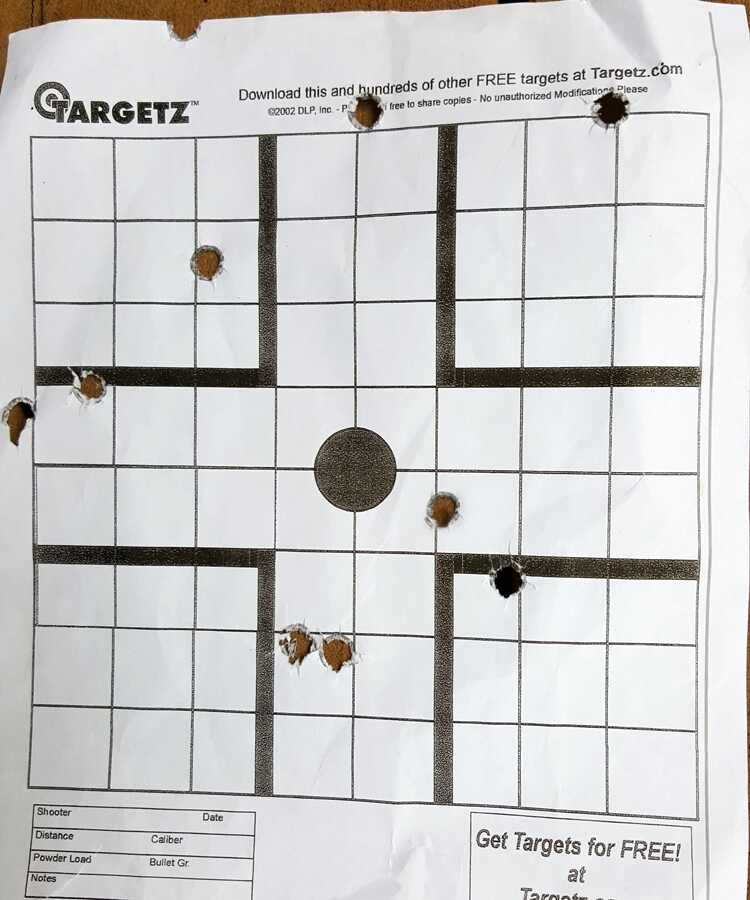 Charter Arms Boomer (13)