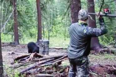 Would you hunt a bear with a spear? 