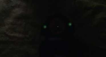 This is how the sights would appear in total darkness. You can see the orange ring disappears, but the tritium dots glow brightly. 