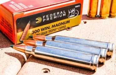 Hammer-Forged Steal: Steyr’s 0 Pro Hunter – Full Review.