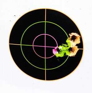 Hammer-Forged Steal: Steyr’s 0 Pro Hunter – Full Review.