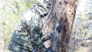 Over/Under Gobbler Buster: Browning’s Cyngery Ultimate Turkey Shotgun – Full Review.