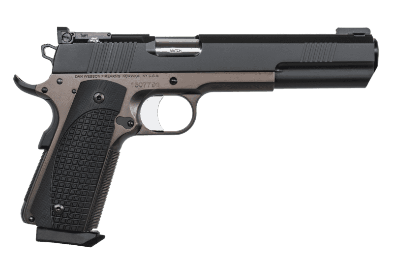 Loaded for Bear: Dan Wesson Bruin 10mm Long Slide – Full Review