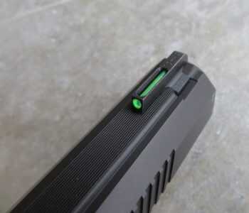 Loaded for Bear: Dan Wesson Bruin 10mm Long Slide – Full Review