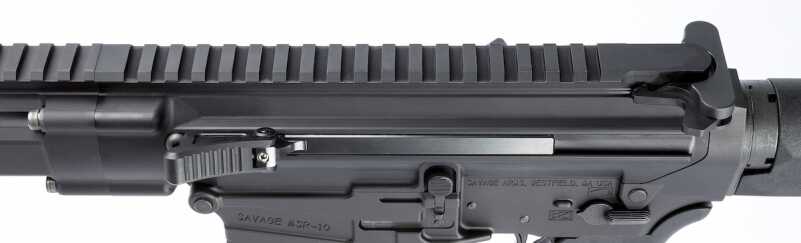 Big Boar Buster: Going Hog Wild with the New Savage MSR 10 Long Range .308