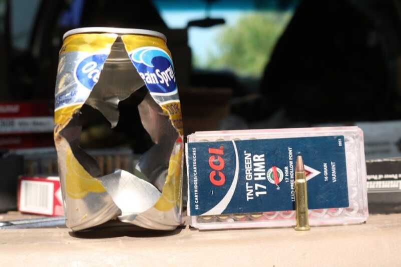 Rimfire Shootout: Savage B-Series .17 HMR vs. .22 LR