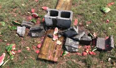 If You Could Only Own One Rifle: Ruger Gunsite Scout Rifle .450 Bushmaster — Full Review