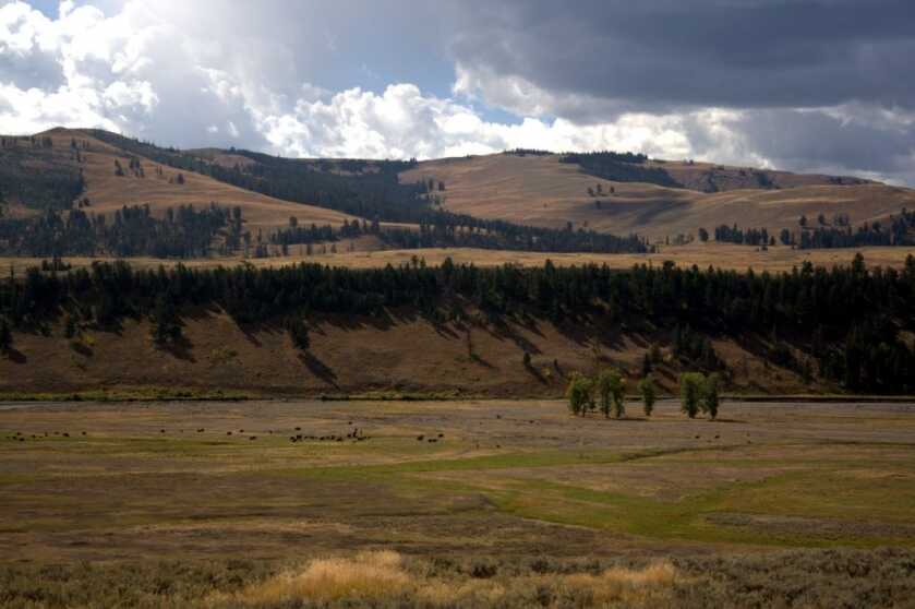 Bushnell Legend T-Series Tactical Spotting Scope