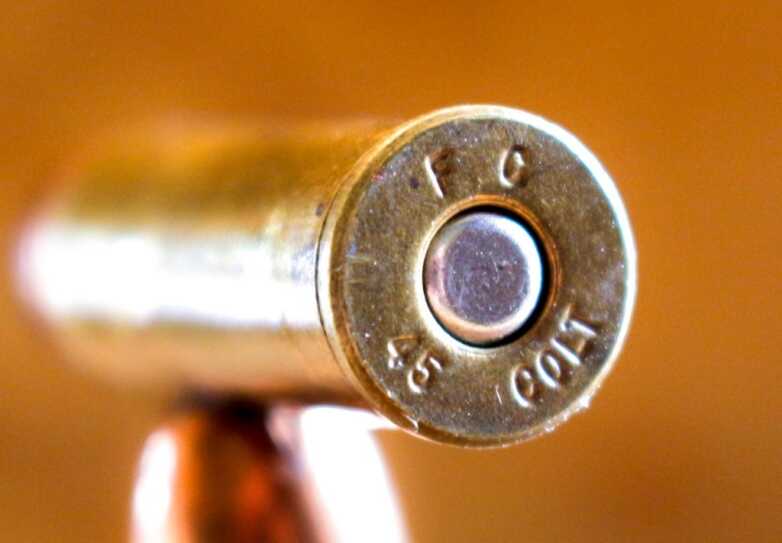 When Bears Attack — Top Sidearms to Carry in Bear Country