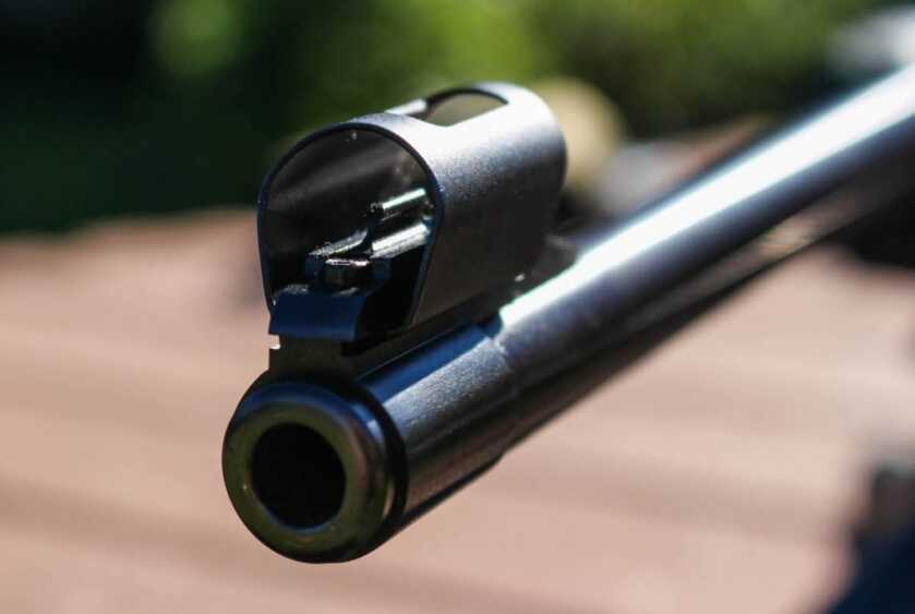 The CZ 550 American Safari Magnum in .375 H&H —&nbsp;Full Review