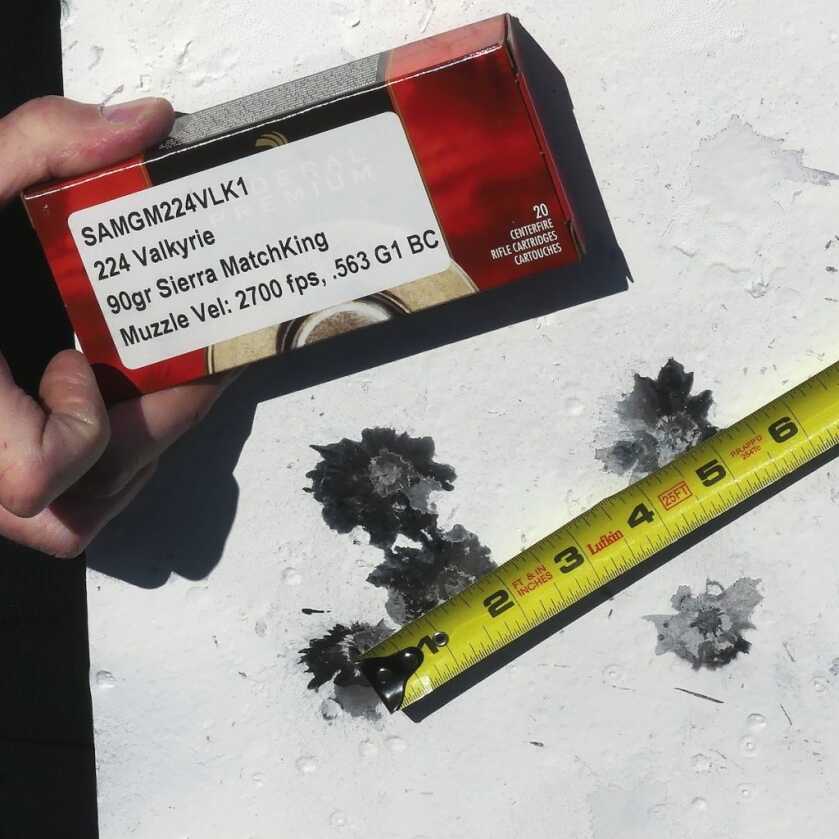 NEW: .224 Valkyrie: A Gas Gun Hot Rod for Long Range Shooters — FULL REVIEW