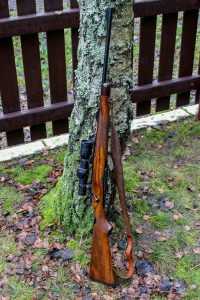 Driving Boars in Poland — Testing Norma's New Strike Line