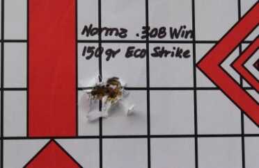 Driving Boars in Poland — Testing Norma's New Strike Line