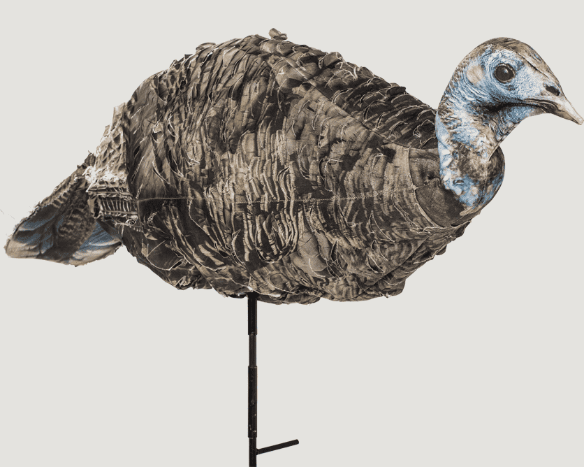 Best Turkey Hunting Gear of 2018