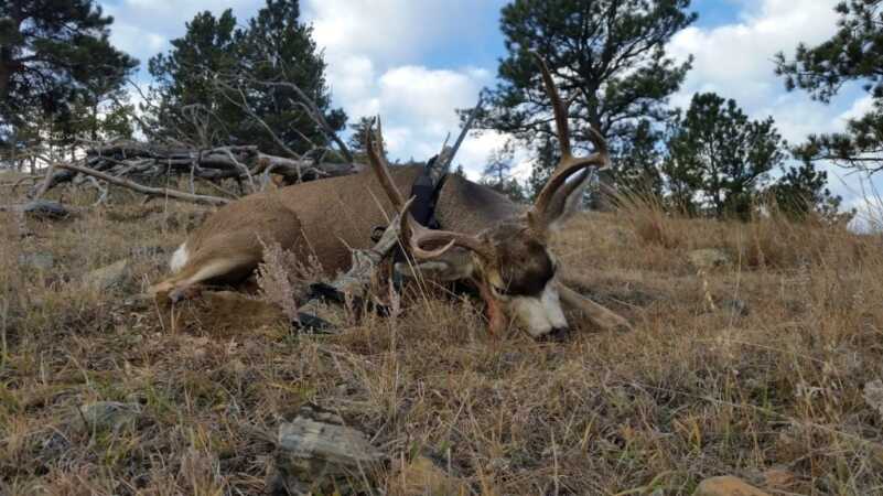 Hunting Using Nature's Benchrest: Ready, Aim, Fire