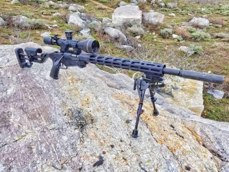 Ruger Precision Rimfire .22 LR: Review