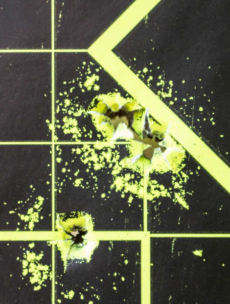 The Legendary Arms Works Professional II: Hunting Rifle