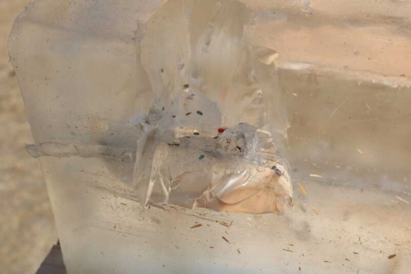 Hornady Sub X, Critical Defense Rifle, and Frontier Ammo Reviewed