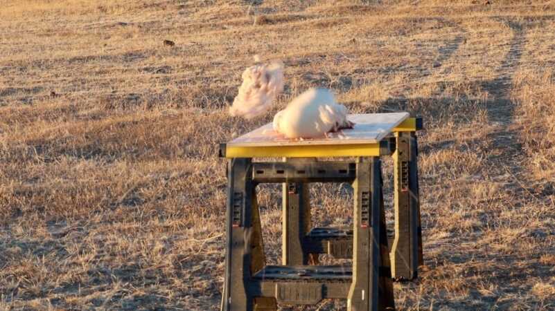 G9 Bullets: Something Wicked This Way Comes