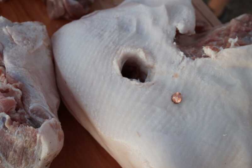 G9 Bullets: Something Wicked This Way Comes