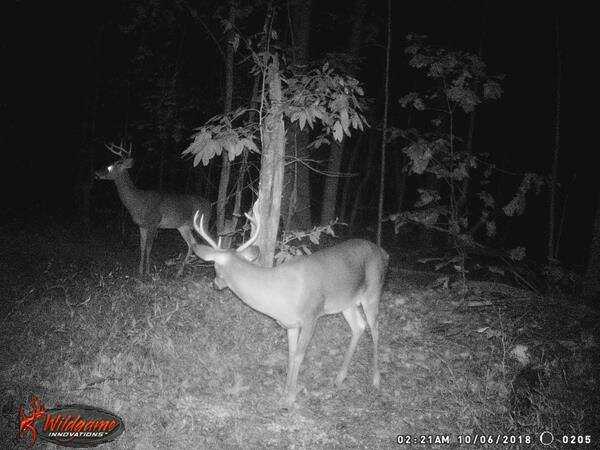 The Future of Land Leasing? Outdoor Access Connects Sportsmen with Land Owners on a Per-Day Basis The Future of Land Leasing? Outdoor Access Connects Sportsmen with Land Owners on a Per-Day Basis