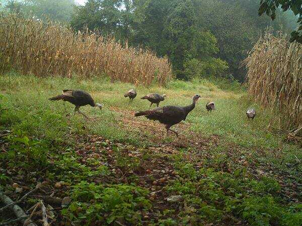 The Future of Land Leasing? Outdoor Access Connects Sportsmen with Land Owners on a Per-Day Basis The Future of Land Leasing? Outdoor Access Connects Sportsmen with Land Owners on a Per-Day Basis