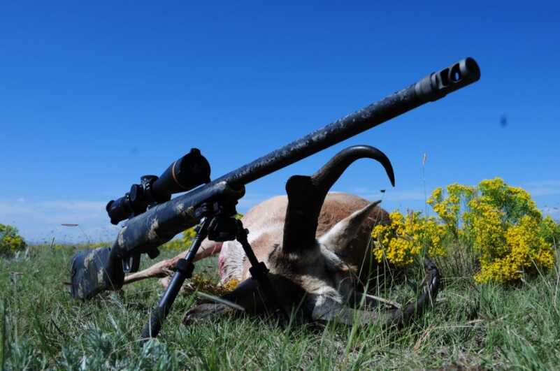 Long Range Hunting Do's & Don'ts Long Range Hunting Do's & Don'ts