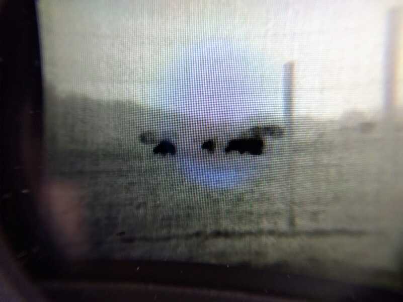 First-Look and Review: The New LTO Tracker2 Thermal From Leupold