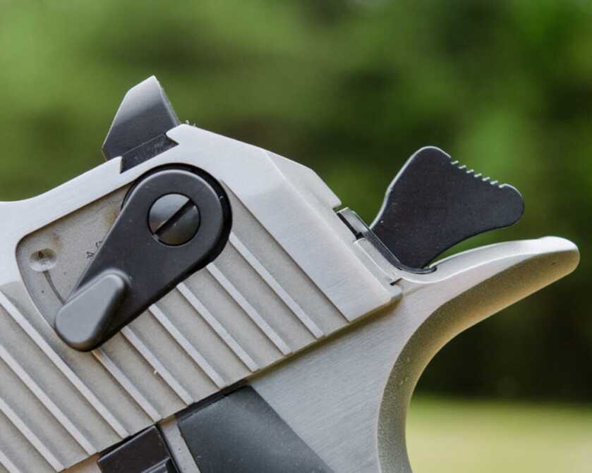 DESERT EAGLE SPREADS ITS WINGS AGAIN – With the New .429 DE Magnum! DESERT EAGLE SPREADS ITS WINGS AGAIN – With the New .429 DE Magnum!