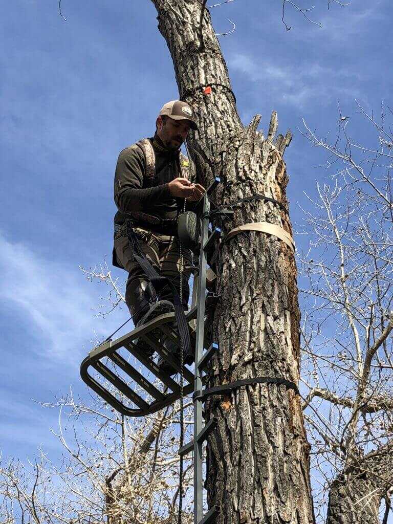 Whitetail: Go Deep ... Then Go Deeper Whitetail: Go Deep ... Then Go Deeper