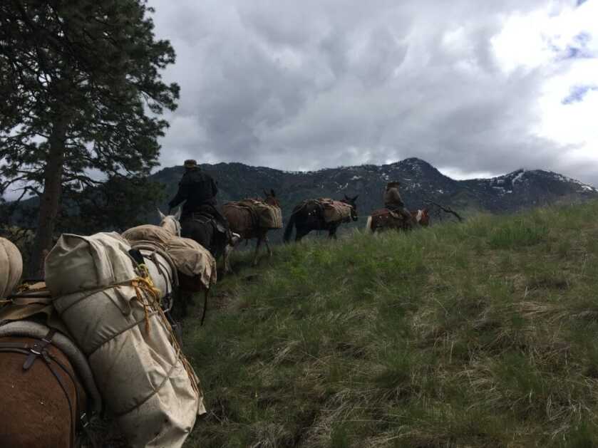 5 Tips For Packing Gear With Horses & Mules