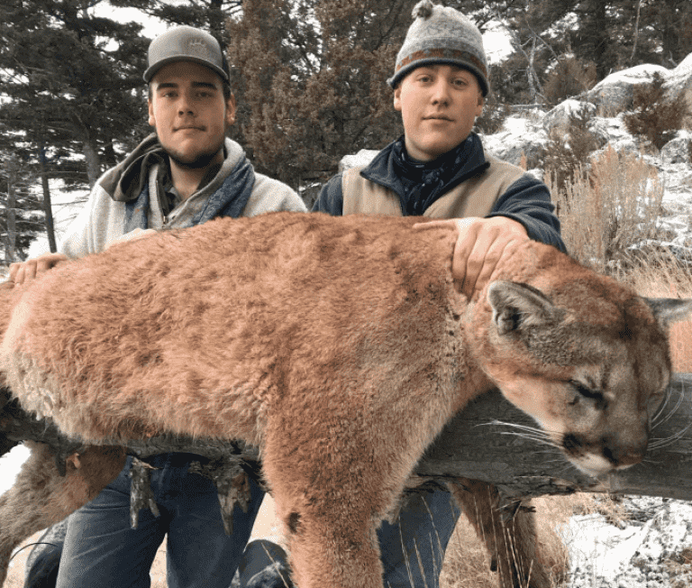 Social Media Proving to be a Useful Tool to Catch Poachers