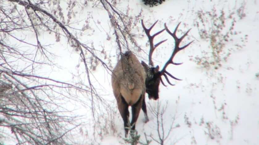 Leupold SX-5 Santiam HD 27-55x80mm Angled Spotting Scope Full Review