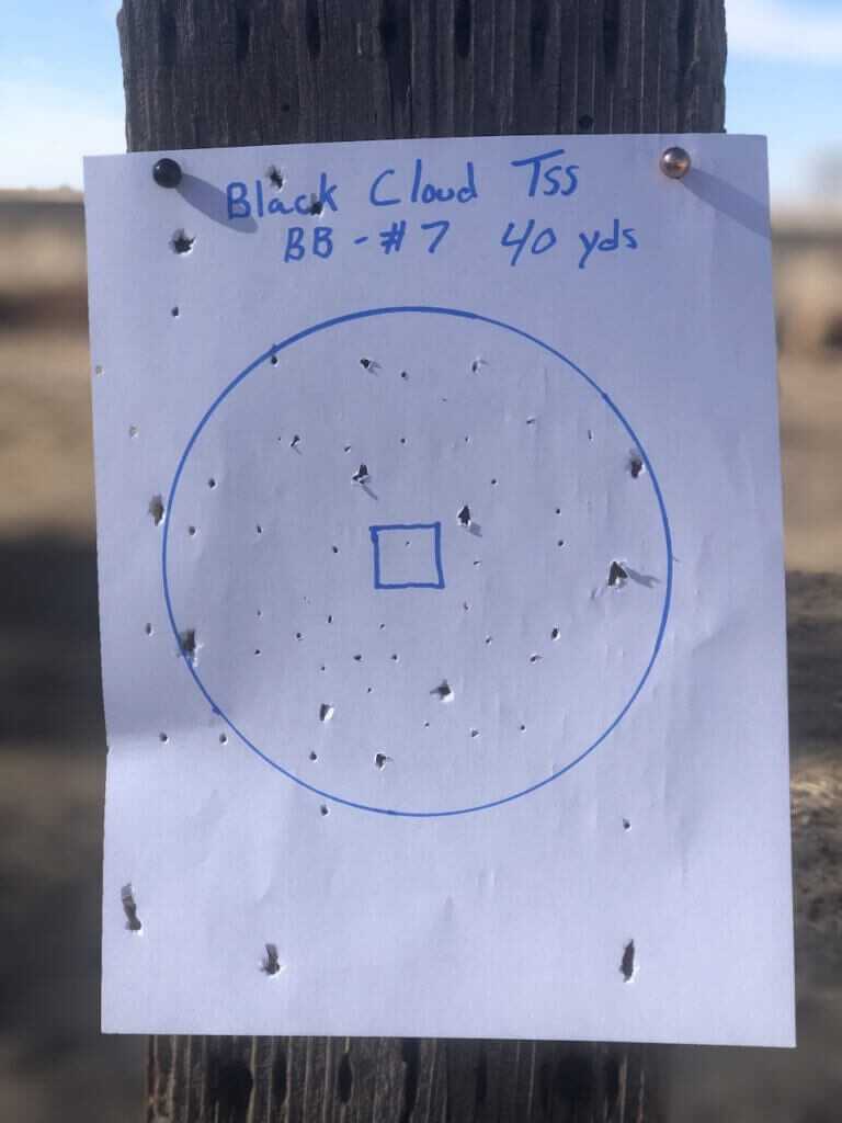 Field Test: Federal Premium Black Cloud TSS