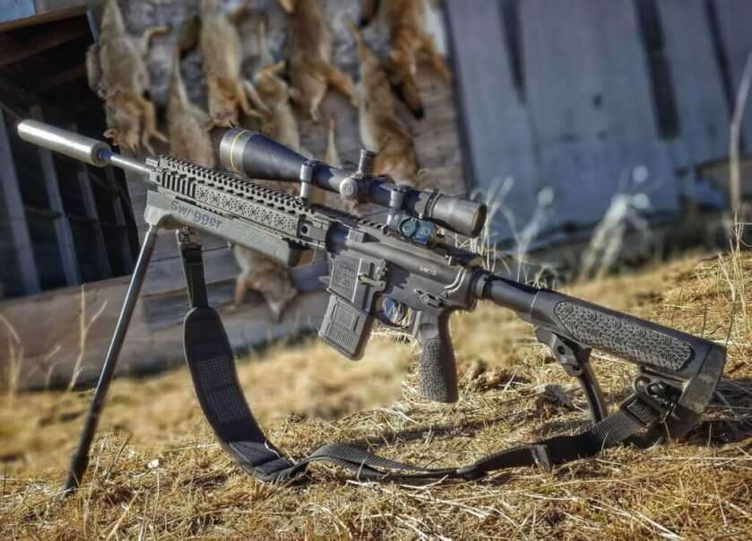 The Ultimate AR for Coyote Hunting The Ultimate AR for Coyote Hunting