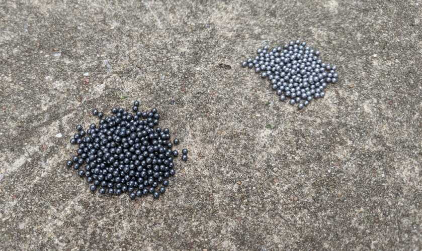 Prettiest Survival Shotgun in the World? Henry .410 Side Gate (Full Review) Prettiest Survival Shotgun in the World? Henry .410 Side Gate (Full Review)