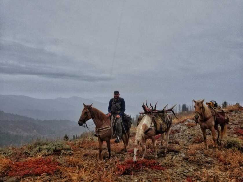 Long Range Powerhouse: Christensen Arms Ridgeline in 28 Nosler - Review