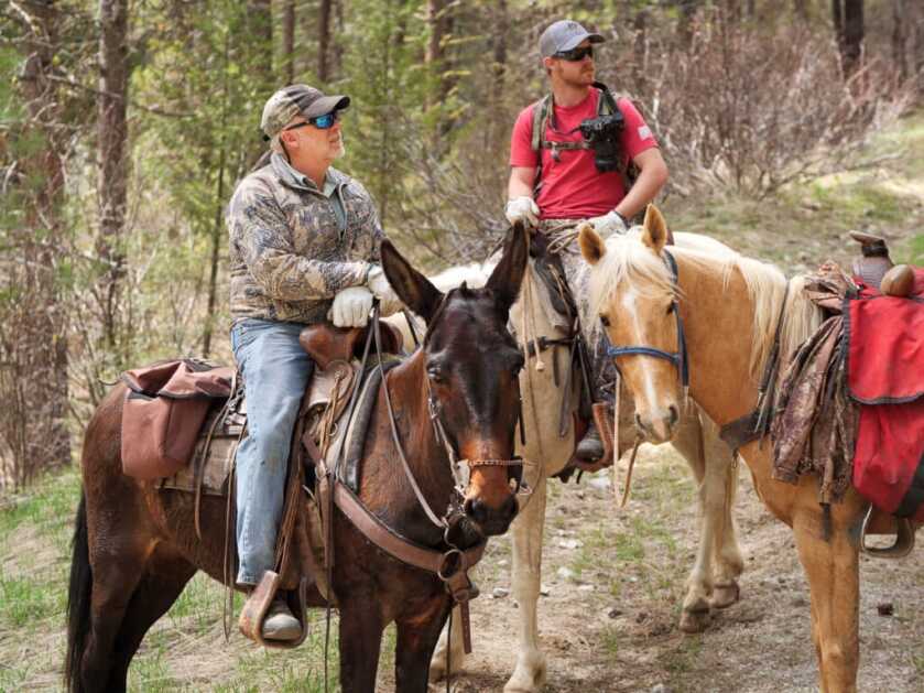 How I Killed A Bear With A BB Gun