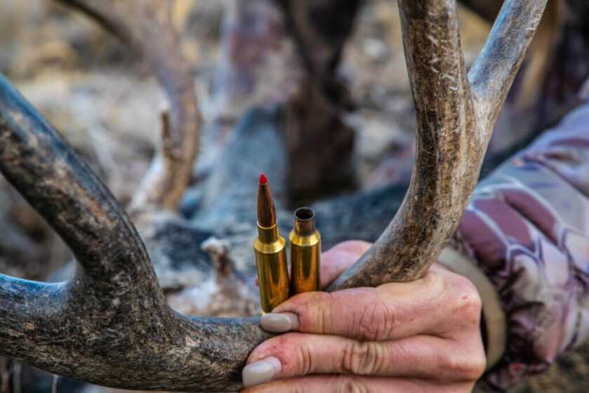 Bullet Selection For Your Next Big Game Hunt Bullet Selection For Your Next Big Game Hunt