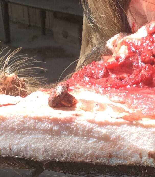 Taking Hogs: Exit Wounds Taking Hogs: Exit Wounds