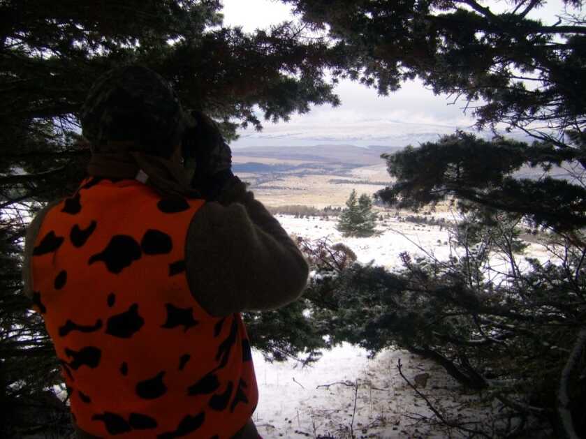 The Last Piece of the Puzzle: Glassing Tips for Hunters The Last Piece of the Puzzle: Glassing Tips for Hunters