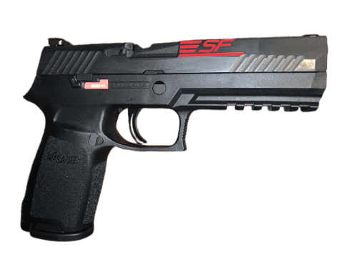 Everything You Need to Know About the P320:  Exeter, Aftermarket Parts and Beyond