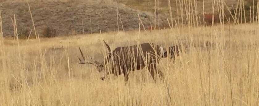 A Flatlander Preps for Western Hunts A Flatlander Preps for Western Hunts