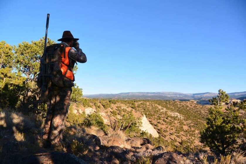 Spot and Stalk A Mule Deer