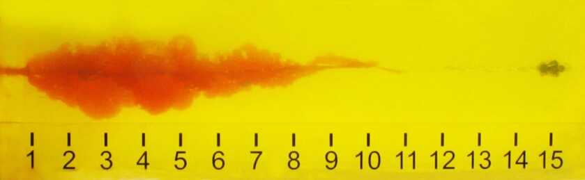 The What & the Why: Types of Ammo for Self Defense - Selecting Ammo to Save Your Life