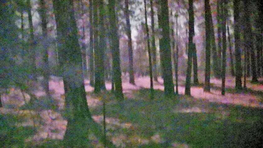 SiOnyx Aurora Pro - Improved Poor man’s PVS-14? SiOnyx Aurora Pro - Improved Poor man’s PVS-14?